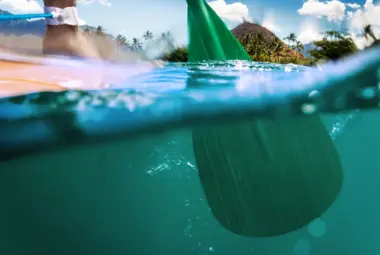 paddle board paddles